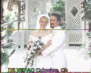 n8paq2.jpg (13470 bytes)