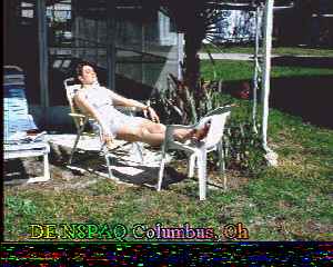 n8paq5.jpg (14535 bytes)