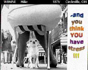 w0mne2.jpg (12104 bytes)