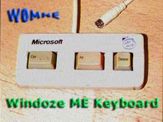 W0mne001.jpg (9031 bytes)