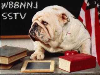 Wb8nnj00.jpg (9621 bytes)