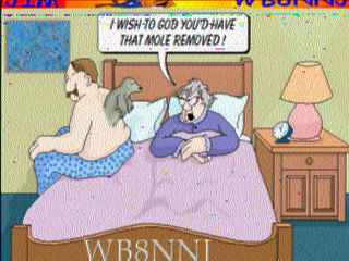 Wb8nnj02.jpg (11658 bytes)