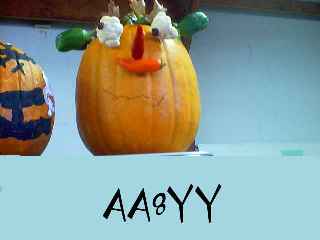 Aa8yy01.jpg (6566 bytes)