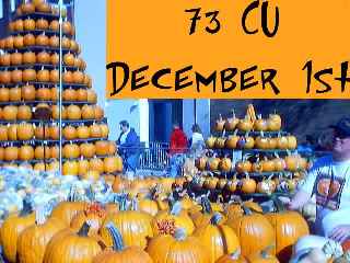 Aa8yy05.jpg (15241 bytes)