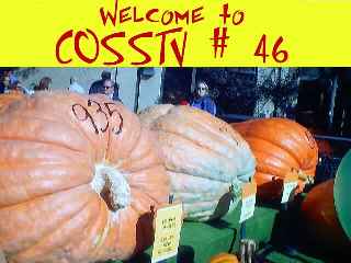 Intro.jpg (11615 bytes)