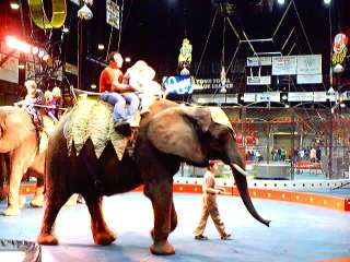 Aa8yy005.jpg (17638 bytes)