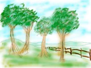 Aa8yy002.jpg (10416 bytes)