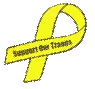 Yellow Ribbon - Support Our Troops