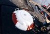 Rescue Bouy enclosed in the Forward Main Deck