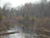 900 Section of Spring Creek