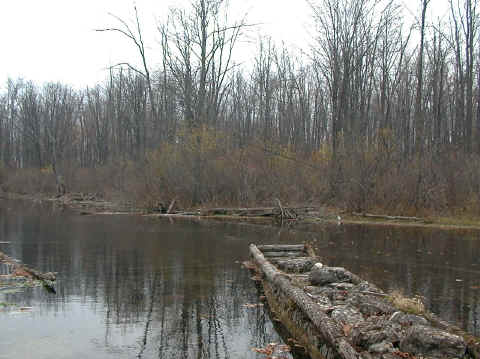 Oatka Creek Hatch Chart