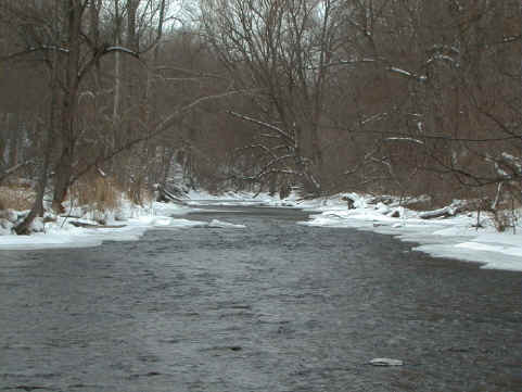 Oatka Creek Hatch Chart