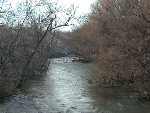 Oatka Creek Hatch Chart