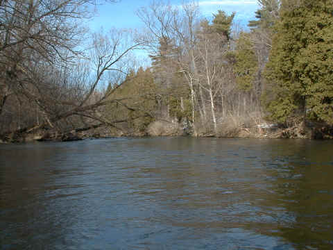 Oatka Creek Hatch Chart