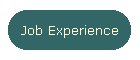Job Experience