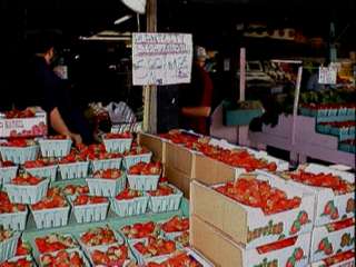 n8paq004.jpg (15161 bytes)