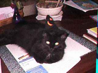 Ki8hn001.jpg (9404 bytes)