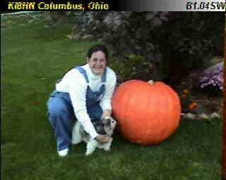 Ki8hn003.jpg (10135 bytes)