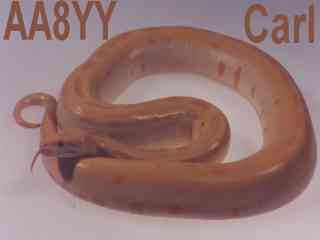 aa8yy001.jpg (4375 bytes)