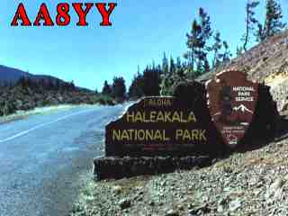 Aa8yy001.jpg (9433 bytes)