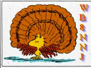 Wb8nnj02.jpg (9436 bytes)