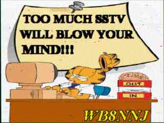 Wb8nnj03.jpg (9536 bytes)