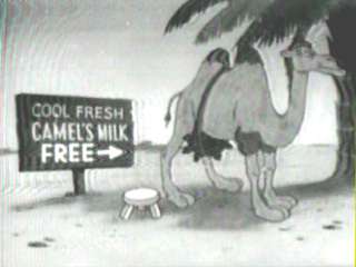 Kc8anw03.jpg (9320 bytes)