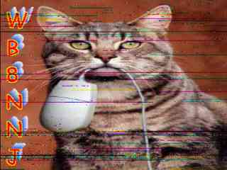 Wb8nnj02.jpg (10082 bytes)