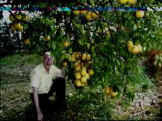 N8paq002.jpg (11135 bytes)