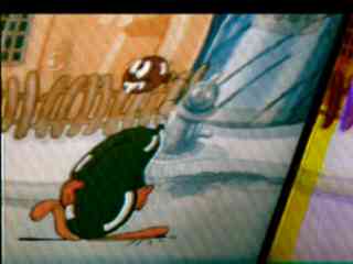 Kc8anw01.jpg (7160 bytes)