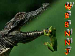 Wb8nnj02.jpg (6635 bytes)