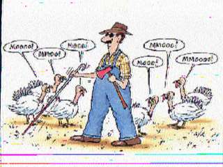 W0mne002.jpg (17120 bytes)