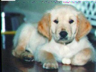 Ki8jm001.jpg (12721 bytes)