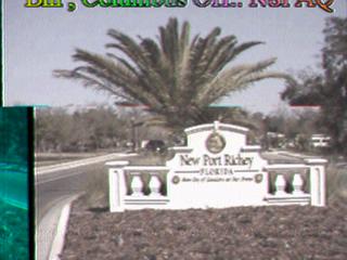 N8paq003.jpg (15147 bytes)