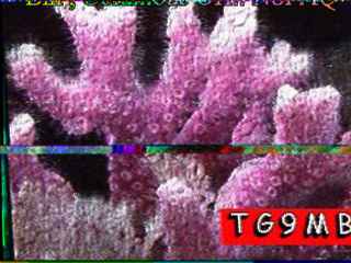 N8paq002.jpg (13002 bytes)