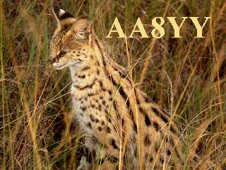 Aa8yy01.jpg (20473 bytes)