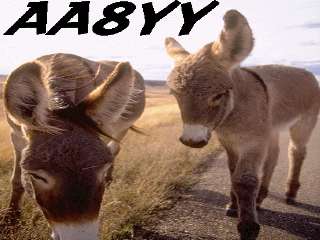 Aa8yy02.jpg (13322 bytes)