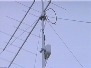 Namraza.JPG (size 22967b)