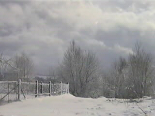 Zima2.JPG (size 23561b)