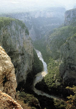 Verdon
