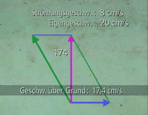 Bild aus der Sendung