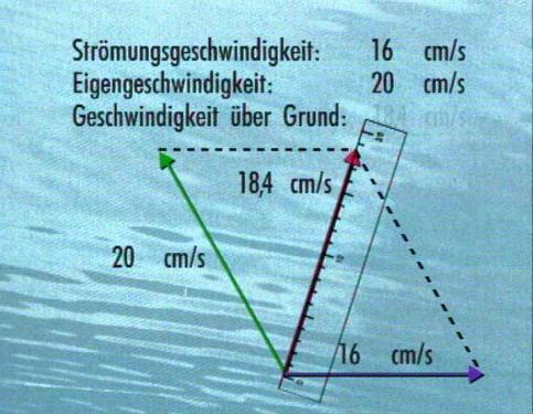 Bild aus der Sendung