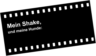 Mein Shake, und meine Hunde: