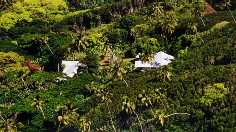 Houses in Adamstown