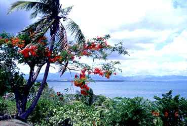 View to Lautoka