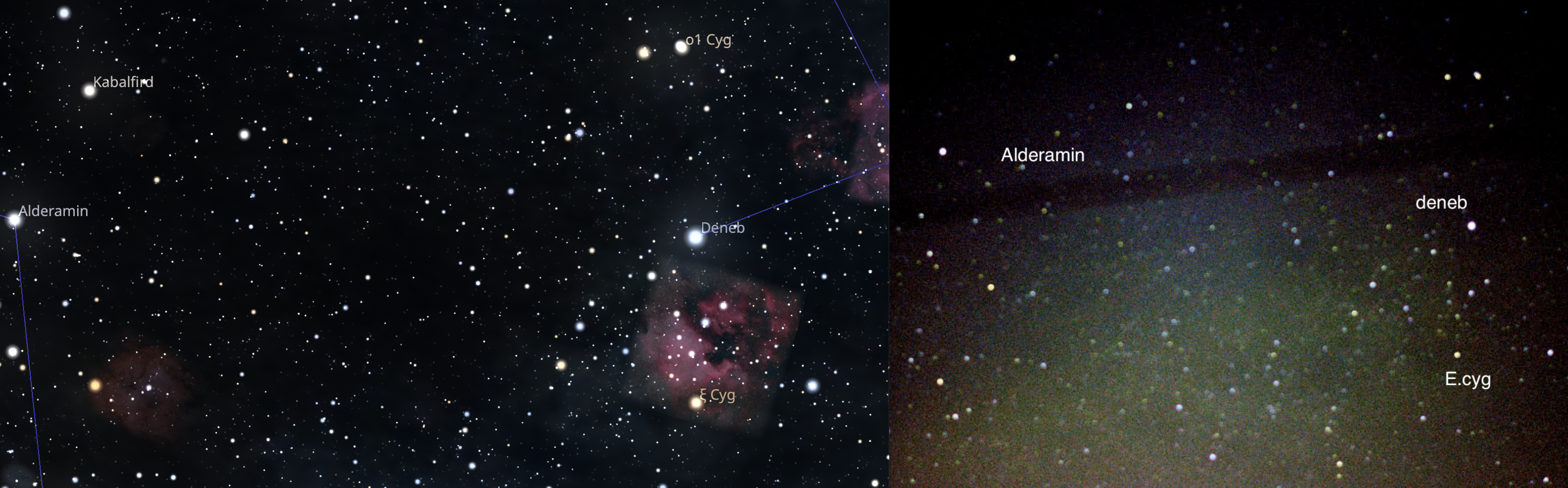 Deneb  - Gynus