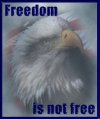 freedom.jpg