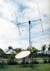 Antenne_103.JPG (37676 bytes)