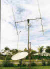 Antenne_11.jpg (29906 bytes)