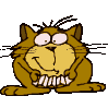 chat anim